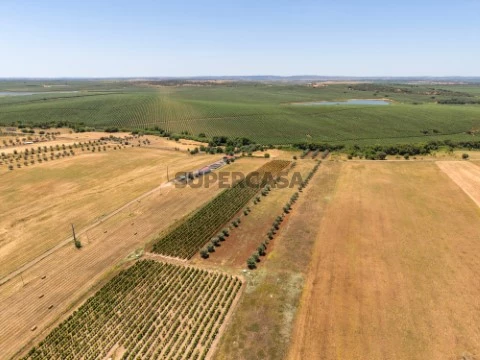 Terreno em Montoito - 004