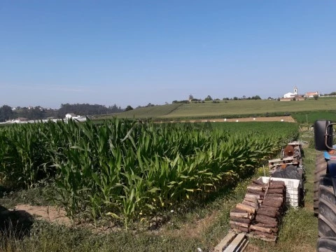 20190722_101037