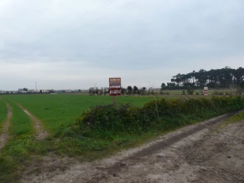 REF AM 510, Terreno 001.JPG