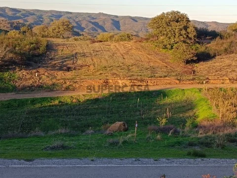 TERRENO CORUJOS