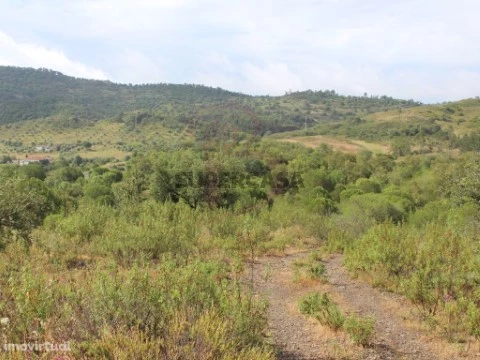 Terreno-Herdade #São Bartolomeu de Messines #Silves #CASASDOSOTAVENTO (17)
