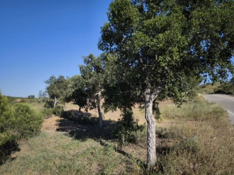 TR POÇO - 6.2 Hect