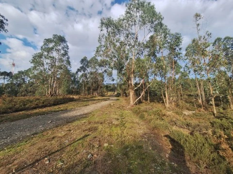 Terreno com 5 700 m2 em Valongo na Quinta da Lousa