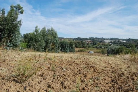 Terreno para venda a 7 km de Tomar