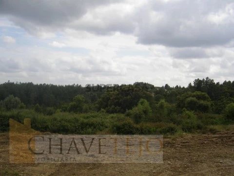 Terreno para construção situado nas Olalhas, Tomar