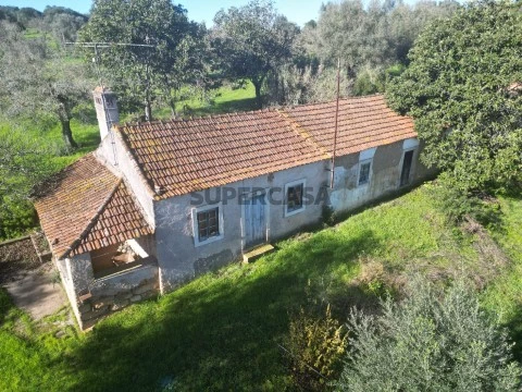 Quinta com 17000 m2 para venda em Tomar