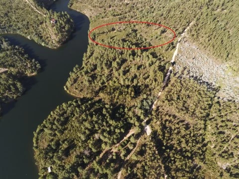 Duas parcelas de terreno florestal de frente para o Lago Carril em Tomar