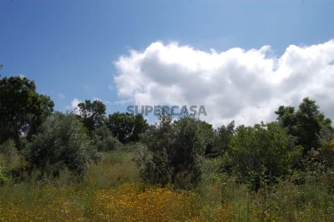 Terreno sem viabilidade de construção, na zona de Olalhas.