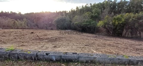Lote de terreno para construção em zona tranquila em Cernache do Bonjardim.