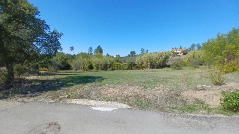 Terreno com possibilidade de construção perto de S. Pedro de Tomar.