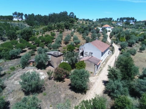 Quinta com moradia, anexo e terreno em local tranquilo.