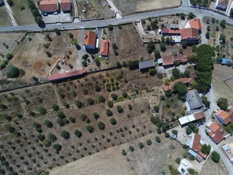 Quinta com 16.040 m2 perto de Tomar.