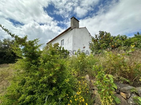 Quintinha com duas casas de campo