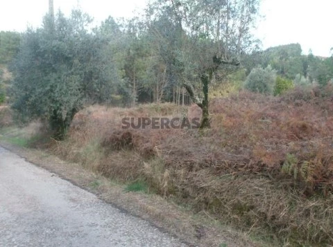 Terreno frente estrada