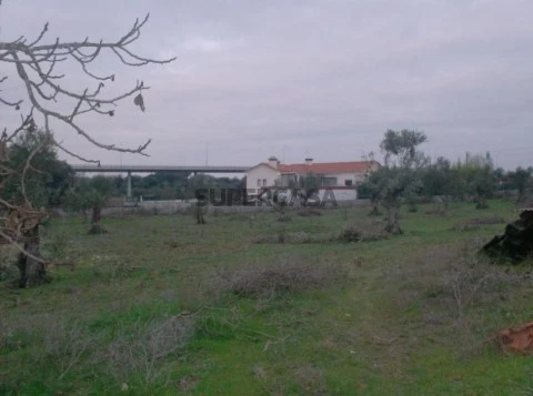 Terreno