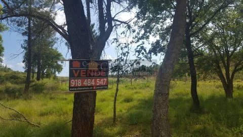 Dois terrenos para venda, a 4km de Tomar.
