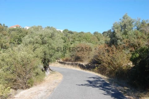 Terreno com 23.680 m2, a 12 km de Tomar