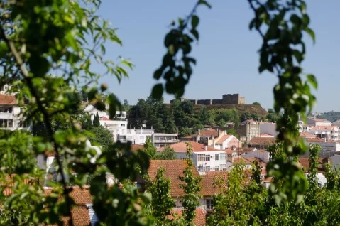 Terreno Alcobaça