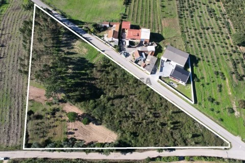 Terreno Urbanizável em Carvalhal