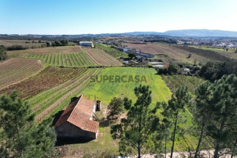 LOTE V