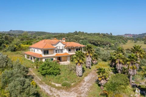 QUINTA COM MORADIA T7 EM BUCELAS - VILA DE REI