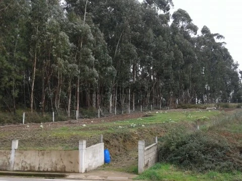 Terreno Urbano