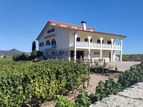 Quinta da Seara_Alijó_Vinha Favaios