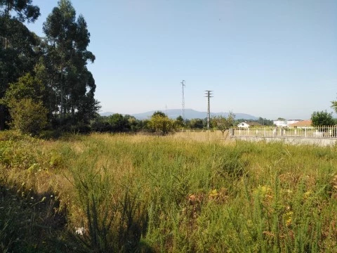 Terreno