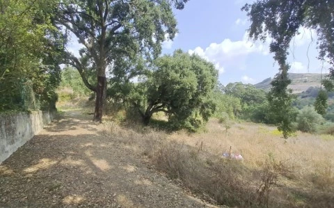 Terreno Loures Venda (4)