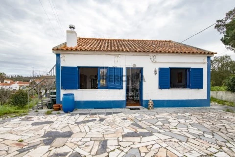 Quintinha Maçã