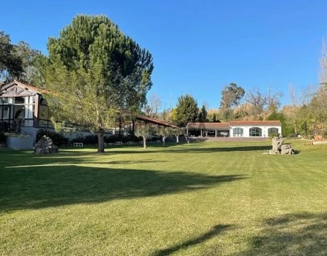 quinta 8