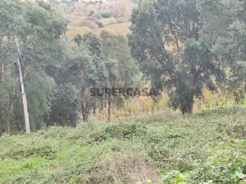 Terreno Urbano - Cadaval