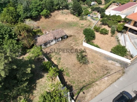 DJI_0985