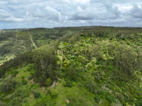 DJI_0173-2