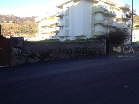 Lote em Lamego (Almacave e Sé), Lamego