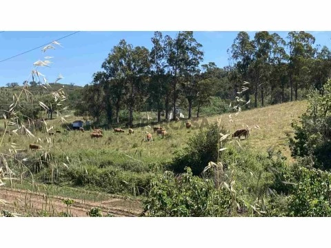 HERDADE DO TELHEIRO