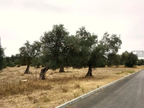 Vista_1