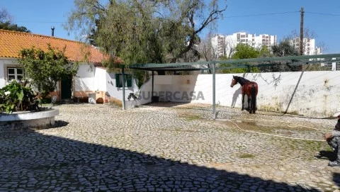Pátio