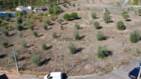 Terreno em Ortiga, Mação