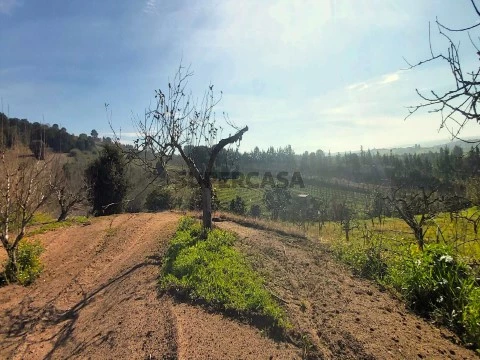 Terreno Urbano na Rua Dom Nuno Álvares Pereira, Roliça, Bombarral