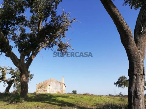 Monte Alentejano de 4,4ha na Serra de Grândola com casa típica a 30 minutos das praias!