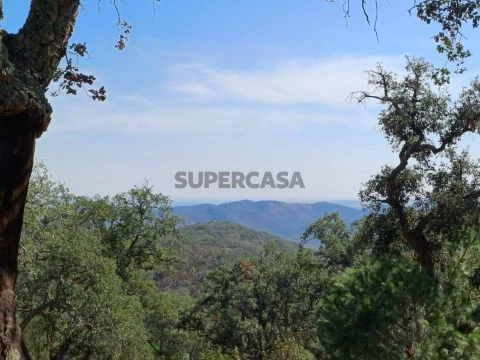 Terreno na serra a 15 minutos das praias