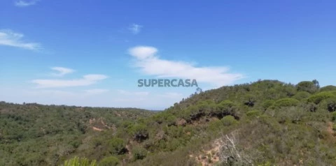 Terreno em São Francisco da Serra a 15 minutos da praia e da aldeia de Melides!