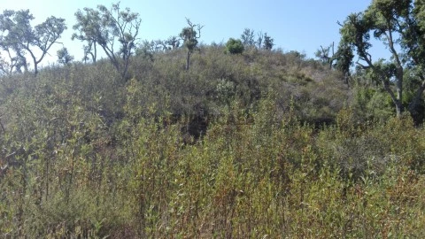 Terreno para Turismo a 20 minutos das praias da Costa Vicentina