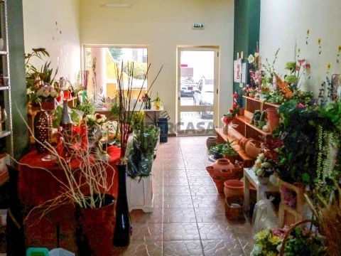 Loja em Tarouca