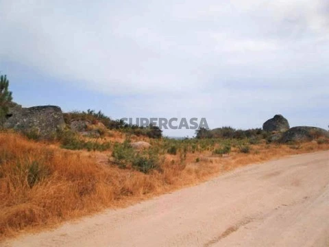 Terreno em São Martinho de Souto