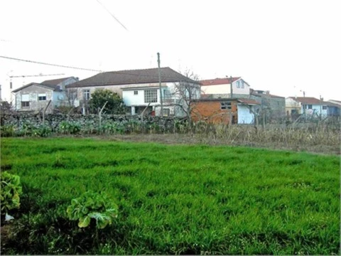 Terreno em Tarouca