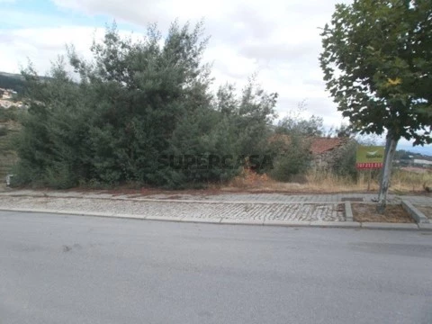 Lote em Lamego
