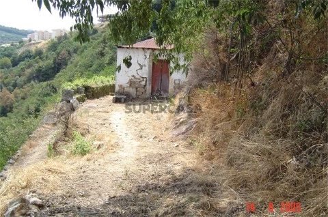 Quintinha em Lamego