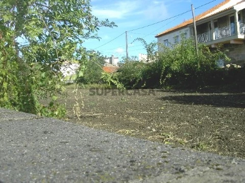 Terreno em Tarouca